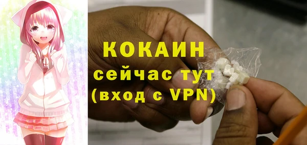 крисы Гусь-Хрустальный