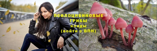 не бодяженный Вяземский
